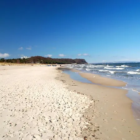 Baabenixe 214 * Baabe